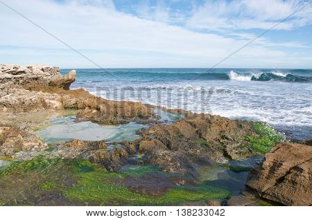 Tide pools with algae, limestone rock and Indian Ocean seascape under a blue sky with clouds at Penguin Island in Rockingham, Western Australia.