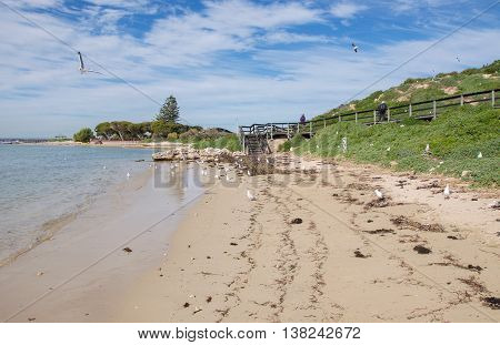 ROCKINGHAM,WA,AUSTRALIA-JUNE 3,2016:  Tourists at Penguin Island with nesting sea gulls, dunes and boardwalk along the Indian Ocean beach in Rockingham, Western Australia.
