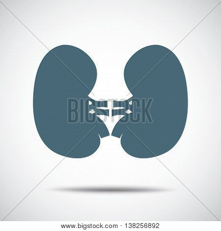 anatomy kidney icon medicine  sign vector illustration