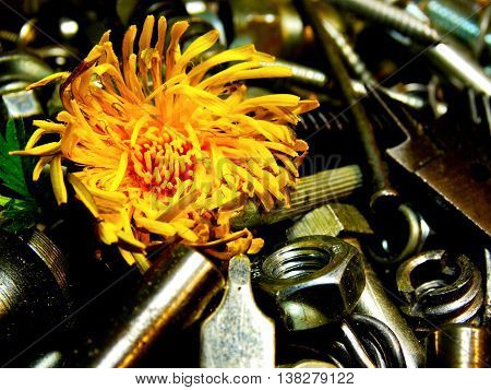 conceptual pictures of industry influence on nature