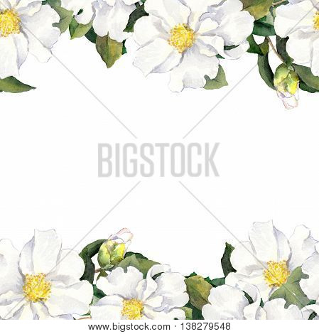 Foral pattern with white flowers magnolia. Watercolor