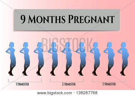 Beautiful pregnant, vector image with silhouette pregnant, infographics