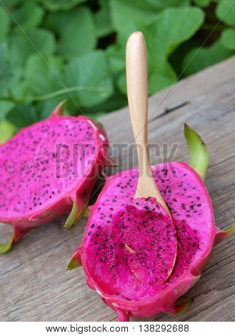 Dragon Fruit, Tropical Fruits, Vietnam Agriculture