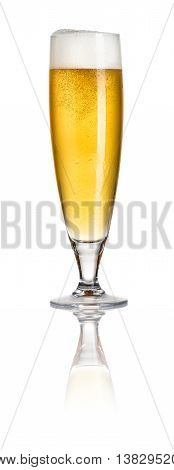 A Pilsner beer on a white background