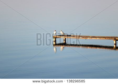 Summer at the lake Naroch, the largest lake in Belarus