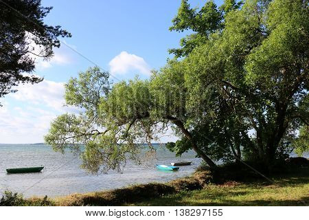 Summer at the lake Naroch, the largest lake in Belarus
