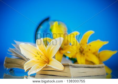 Globe with books and flowers on a blue background