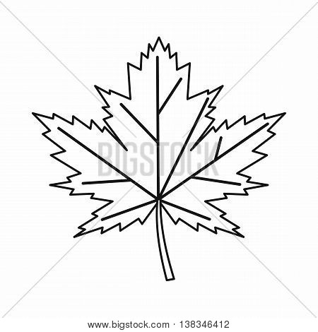 Maple leaf icon in outline style isolated vector illustration