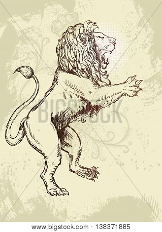 Figure lion Doodle style grunzhe and plant elements. Vector illustration