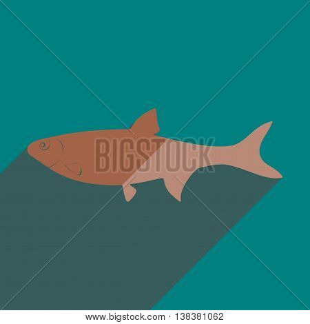 Flat icons with shadow of dace. Vector illustration