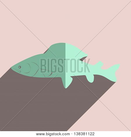 Flat icons with shadow of grayling. Vector illustration