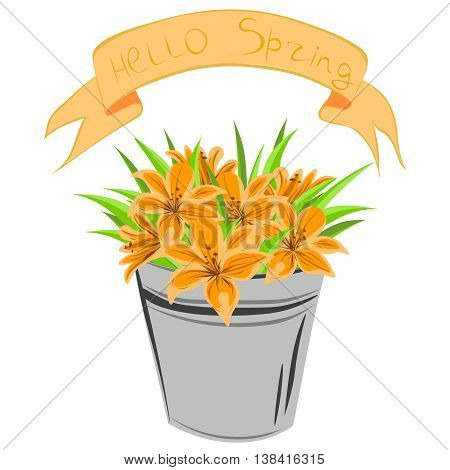 Lily in a bucket. Vector image with inscription Hello spring!
