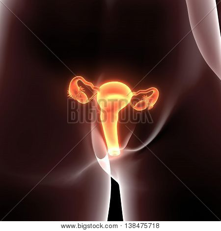 3D render and 3d illustration The ova are defined as the larger gametes in a heterogamous reproduction system, while the smaller, usually motile gamete, the spermatozoon, is produced by the male.