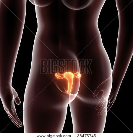 3D render and 3d illustration The ova are defined as the larger gametes in a heterogamous reproduction system, while the smaller, usually motile gamete, the spermatozoon, is produced by the male.