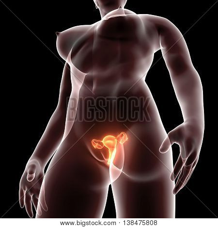 3D render and 3d illustration The ova are defined as the larger gametes in a heterogamous reproduction system, while the smaller, usually motile gamete, the spermatozoon, is produced by the male.