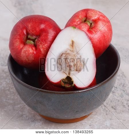 Fruit Acmella Oleracea (jambu, Toothache Plant, Paracress, Electric Daisy)