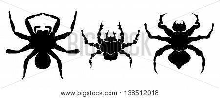Set of black silhouette spider icon isolated on white background. Top,side and front view