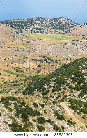 Lentil fields on Vouni plateau, Englouvi village,  Lefkada, Greece