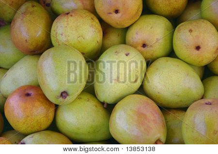 Shiny green,ripe asian pears