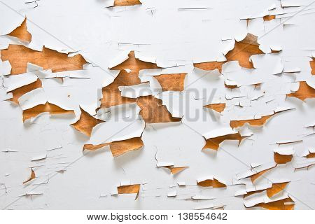 Grunge wall with cracks and peeling paint in old house. White textured background