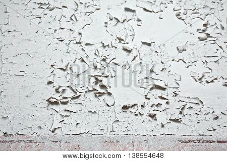 Grunge wall with cracks and peeling paint in old house. White textured background