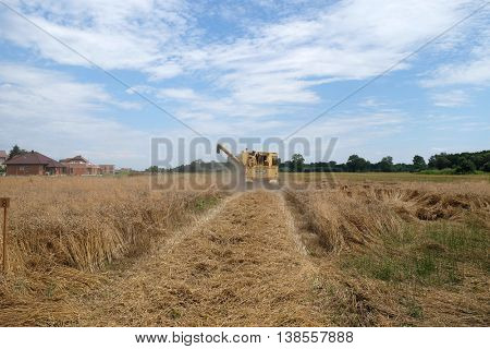 TRNOVEC, CROATIA - JULY 09, 2016: Combine harvester harvest ripe wheat on a farm in Trnovec, Croatia on July 09, 2016