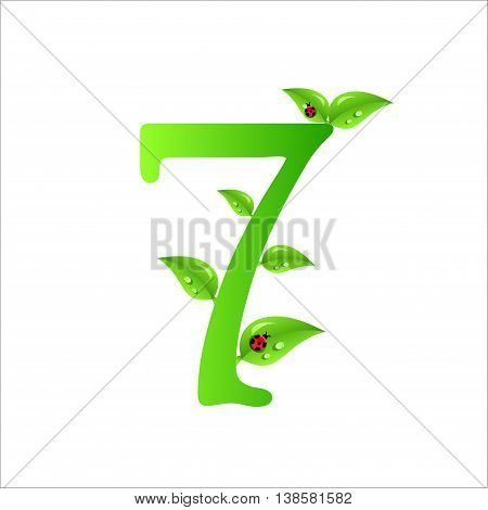 7