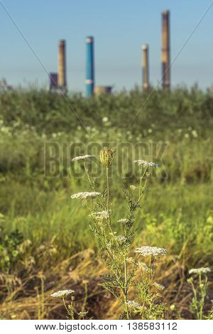 Factory with tall chimneys. Power plant chimneys tower in Bucharest city view from Vacaresti Nature Park.