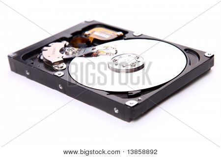 Winchester isolated on white background
