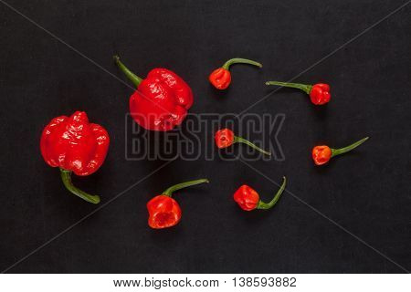 Red hot Trinidad moruga scorpion peppers on black background