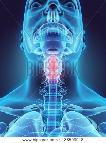 3D Illustration Of Epiglottis, Medical Concept.