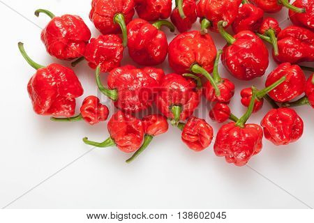 Trinidad Moruga Scorpion Peppers