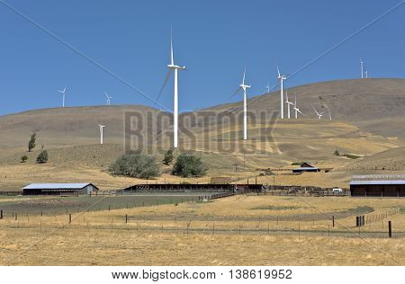 Wind eneregy generated by large blades spinning on a hill in Washngton state.