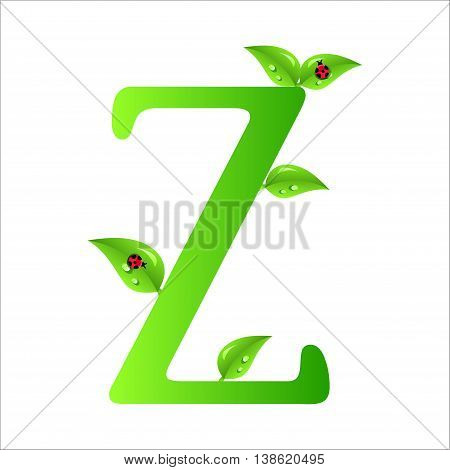 Z