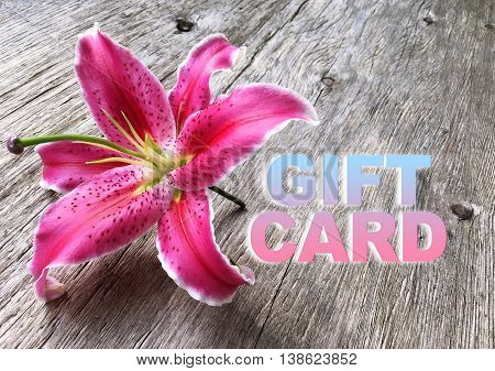 pink liliy flower on wooden background with word Gift Card