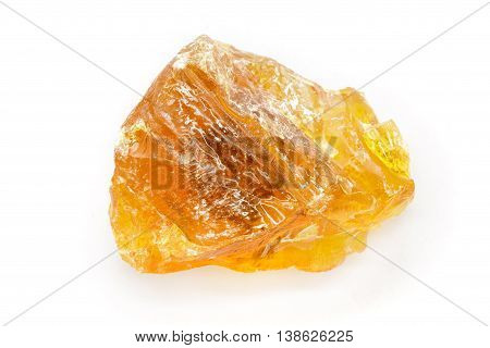 Organic Indian cluster pine (Pinus pinaster) isolated on white background. Macro close up. Top view.