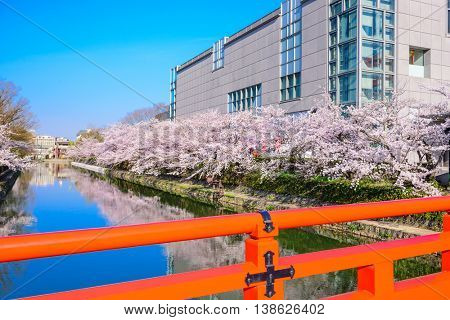 Kyoto, Japan at the cherry blossom lined Okazaki Canal in the spring season.