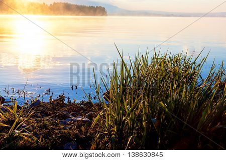 detail of grass halm at a lake in magical morning time with dawning sun