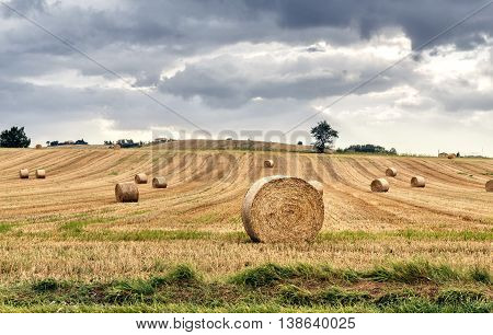 hay bales in rural scenic landscape. Italy in summer