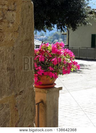 Vase of flowers just around the corner in a sunny day