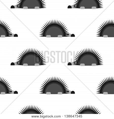 Seamless Vector Pattern With Animals, Background With Hedgehogs