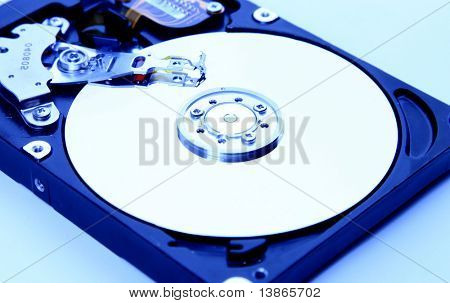 Winchester isolated on white background