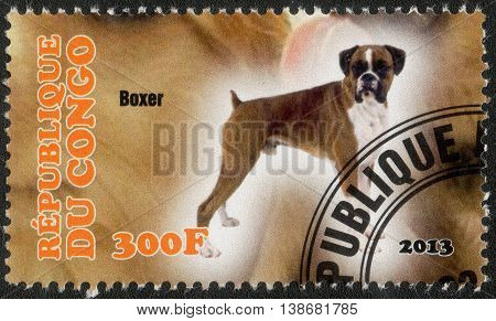 CONGO - CIRCA  2013: A post stamp printed in Congo shows a series of images "Dog breeds", circa 2013