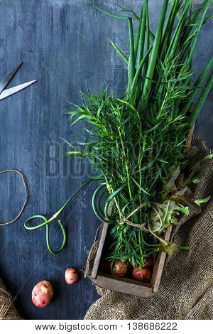 Fresh Herbs Taragon Or Estragon, Chives And Garlic Sprouts In A Box, Rustic Style