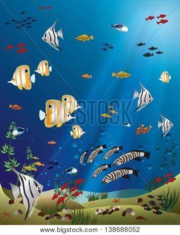 tropical fishes bottom of the ocean - vector illustration