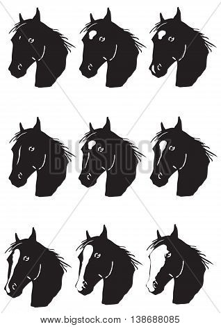 Vector illustration of markins on a horse head - education book