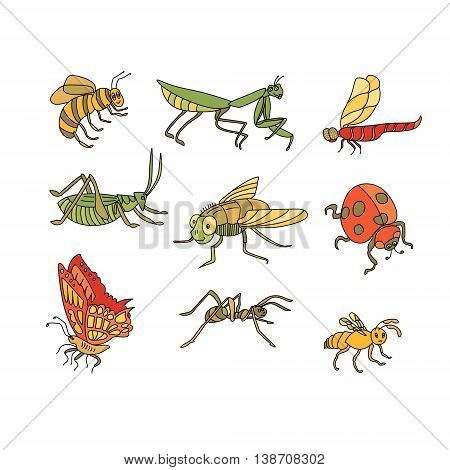 Awesome vector set of funny Insects in cartoon style: bee, mantis, dragonfly, grasshopper, fly, ladybird, butterfly, ant, wasp