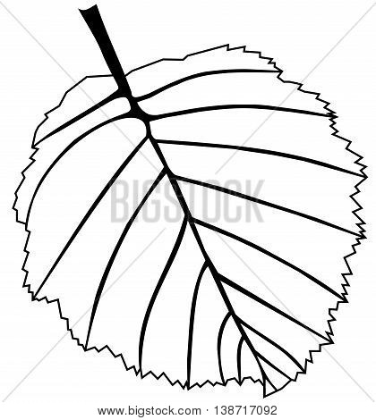 leaf alder , isolated alder leaf , leaf alder illustration ,