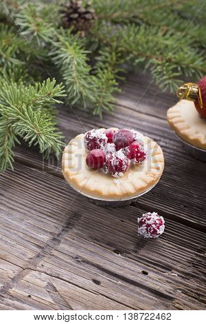 Home Tartu mini cakes with berry filling in the form of jam decorated with fresh cranberries in coconut chips meal for the winter holidays. selective focus