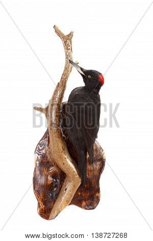 Effigy Of A Black Woodpecker On A Dry Snag